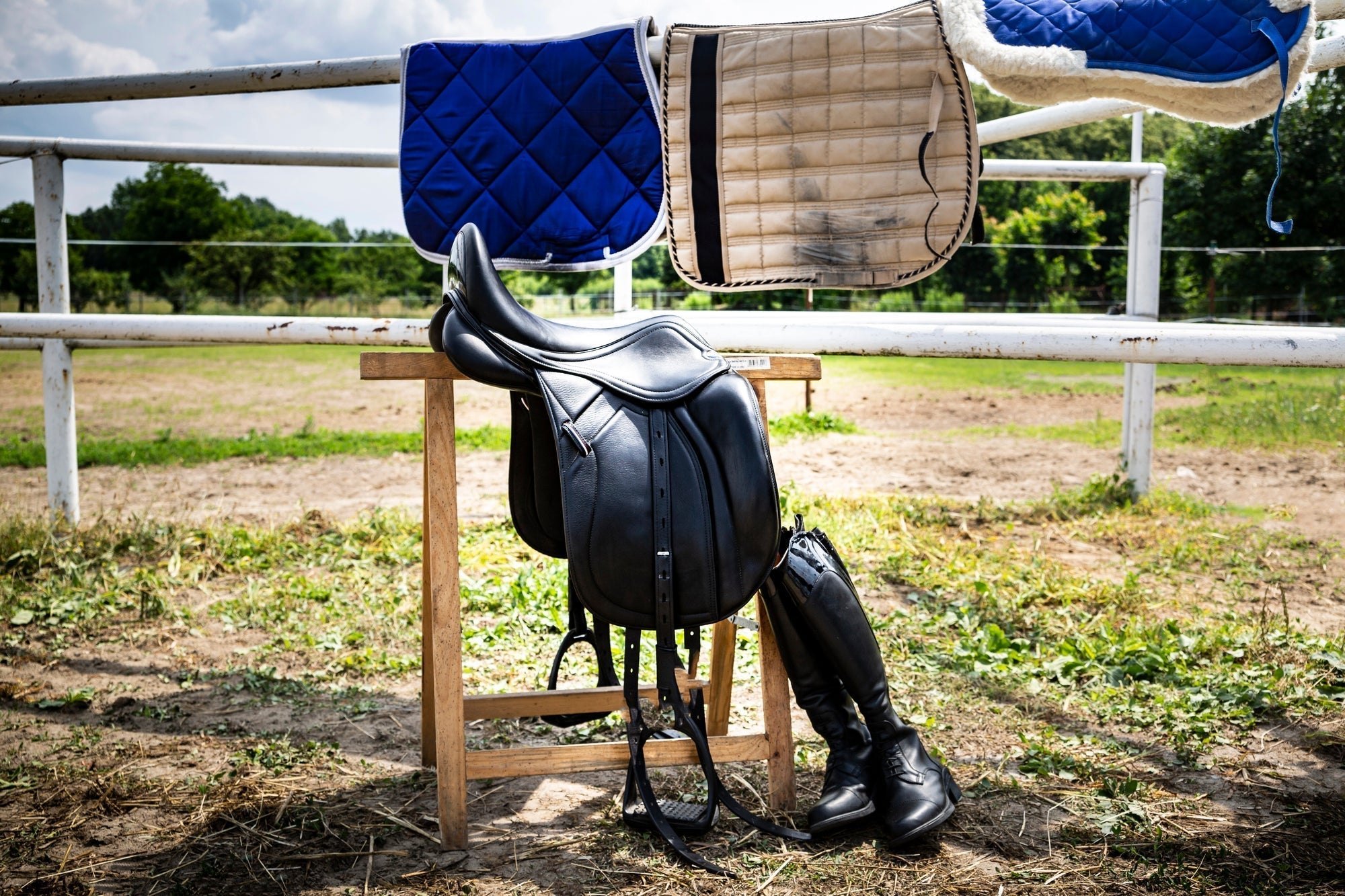 Die richtige Lederpflege für dein Sattelzeug – Darauf solltest du achten