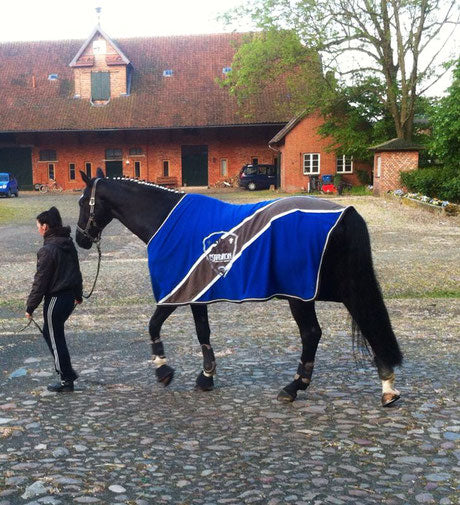 Hilfe, ich fahre zum Turnier – Meine Tipps für einen gelungenen und stressfreien Turnierstart