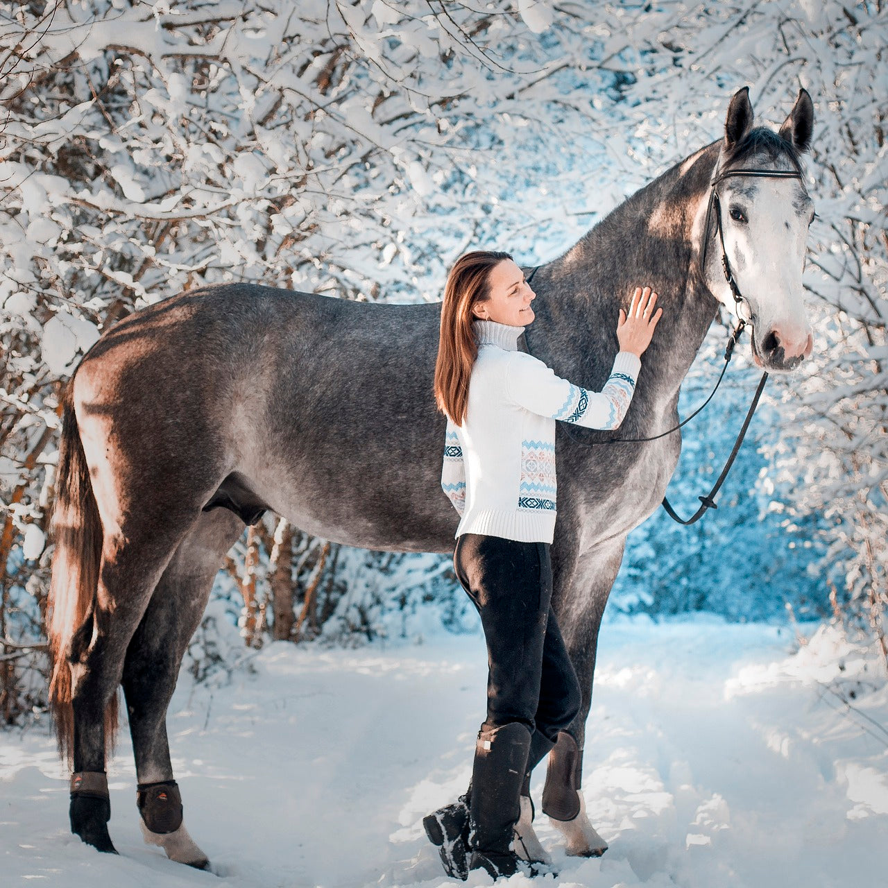 Tipps zur Pflege und Wartung von Reitsportzubehör
