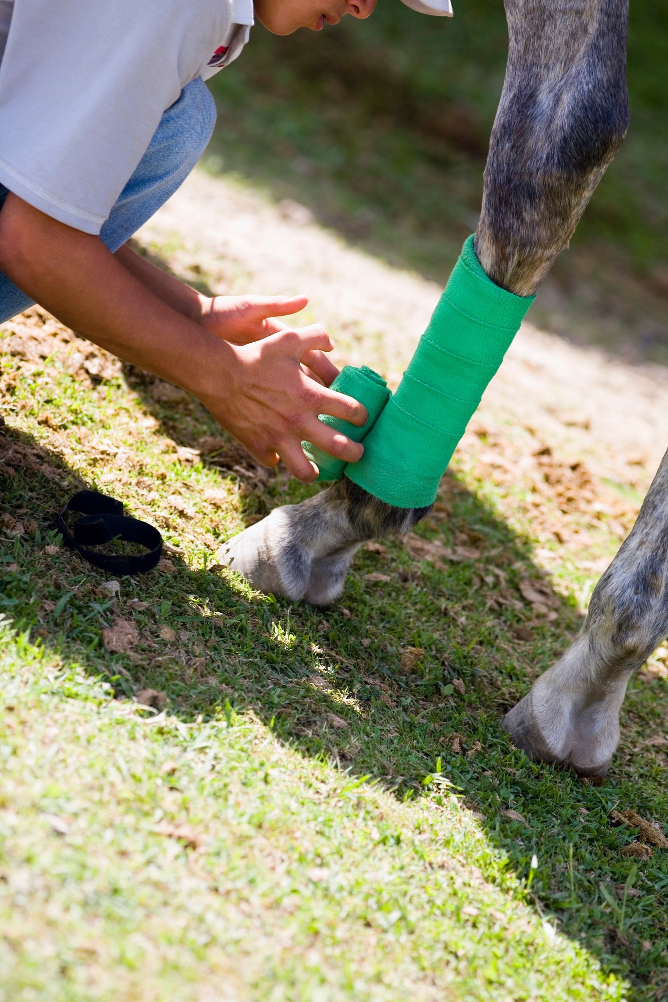 Was gehört in die Stallapotheke? Must-haves für Notfälle