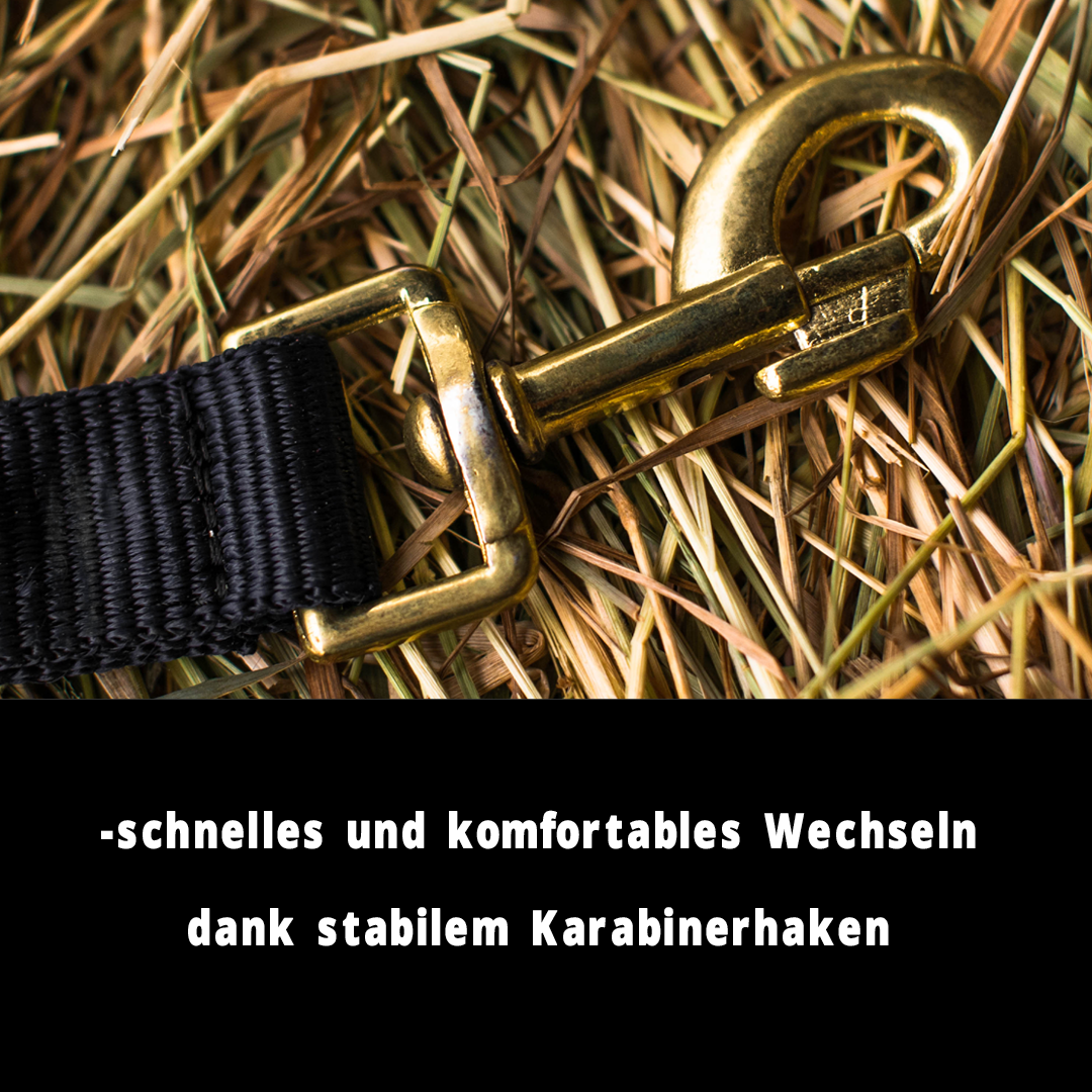 Halfter für Pferde, 2 Fach verstellbar an Kinnriemen und Genickstück