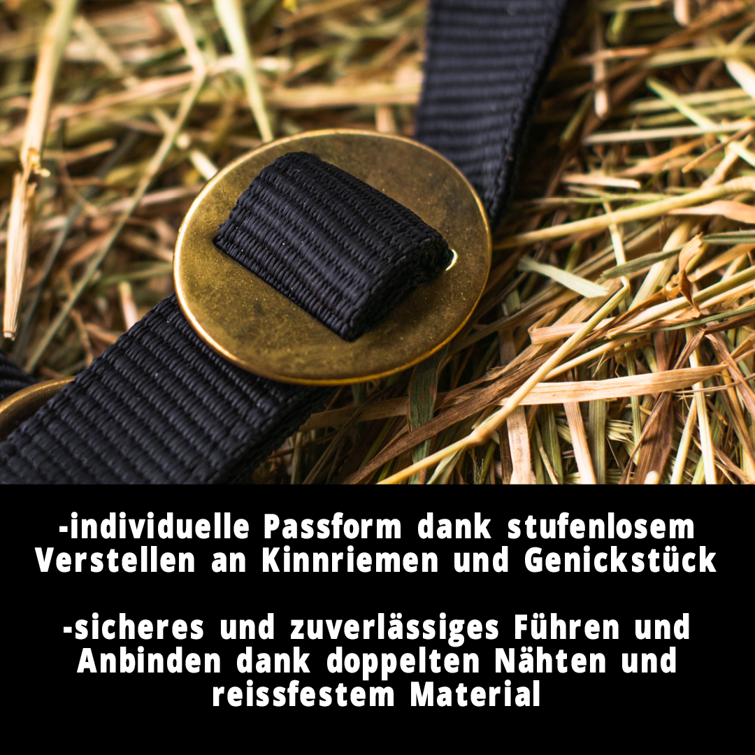 Halfter für Pferde, 2 Fach verstellbar an Kinnriemen und Genickstück