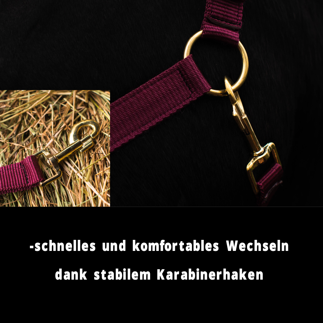 Halfter für Pferde, 2 Fach verstellbar an Kinnriemen und Genickstück