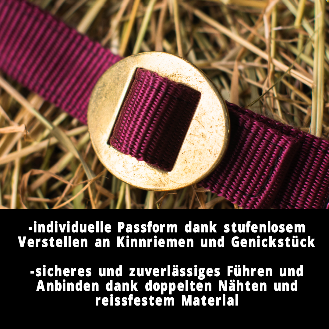 Halfter für Pferde, 2 Fach verstellbar an Kinnriemen und Genickstück