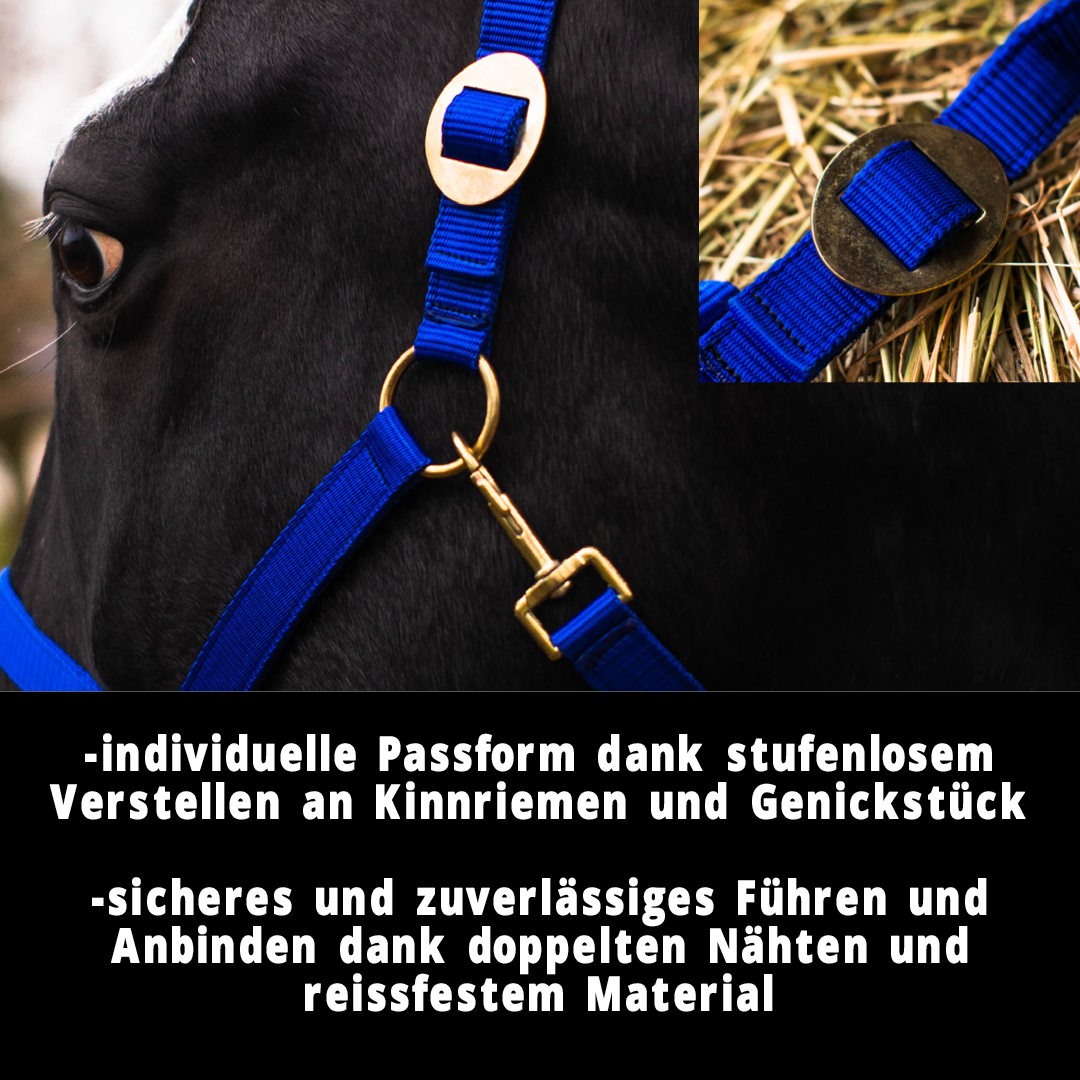 Halfter für Pferde, 2 Fach verstellbar an Kinnriemen und Genickstück